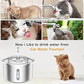 Pet Water Fountain 3L