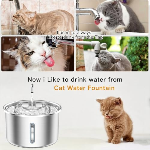 Pet Water Fountain 3L