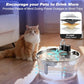 Dog Water Fountain for Large Dogs