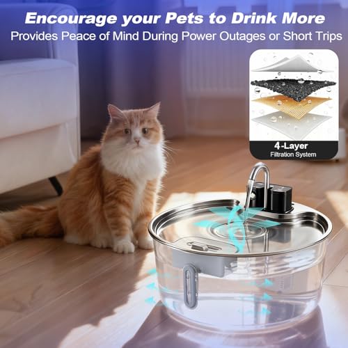Dog Water Fountain for Large Dogs