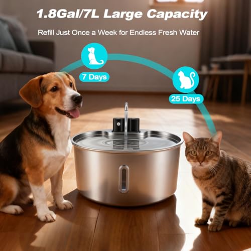 Dog Water Fountain for Large Dogs