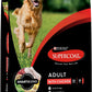 Adult Chicken Dry Dog Food 12Kg