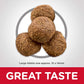 6+ Large Breed Chicken Dry Dog Food 12Kg - Paws and Pats