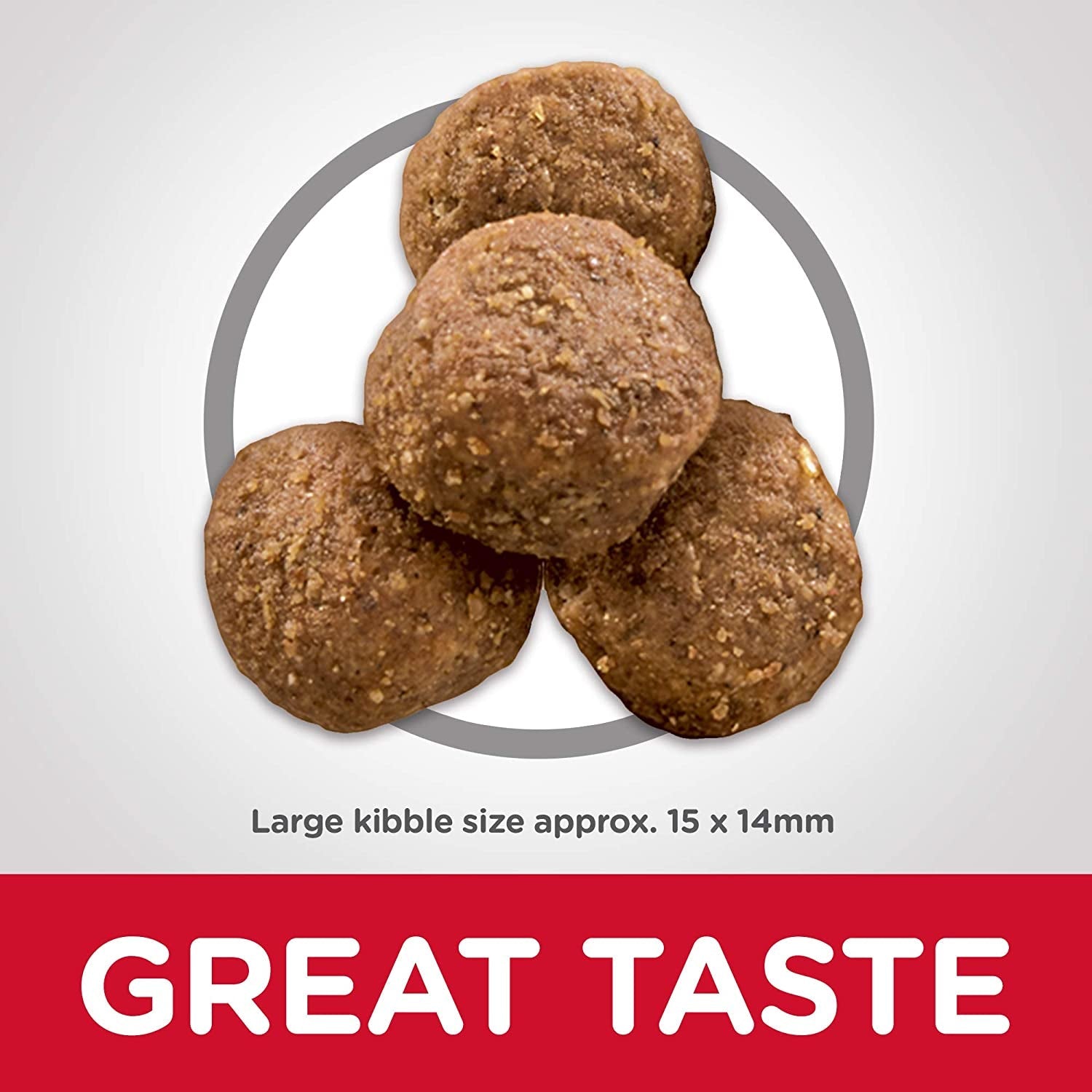 6+ Large Breed Chicken Dry Dog Food 12Kg - Paws and Pats