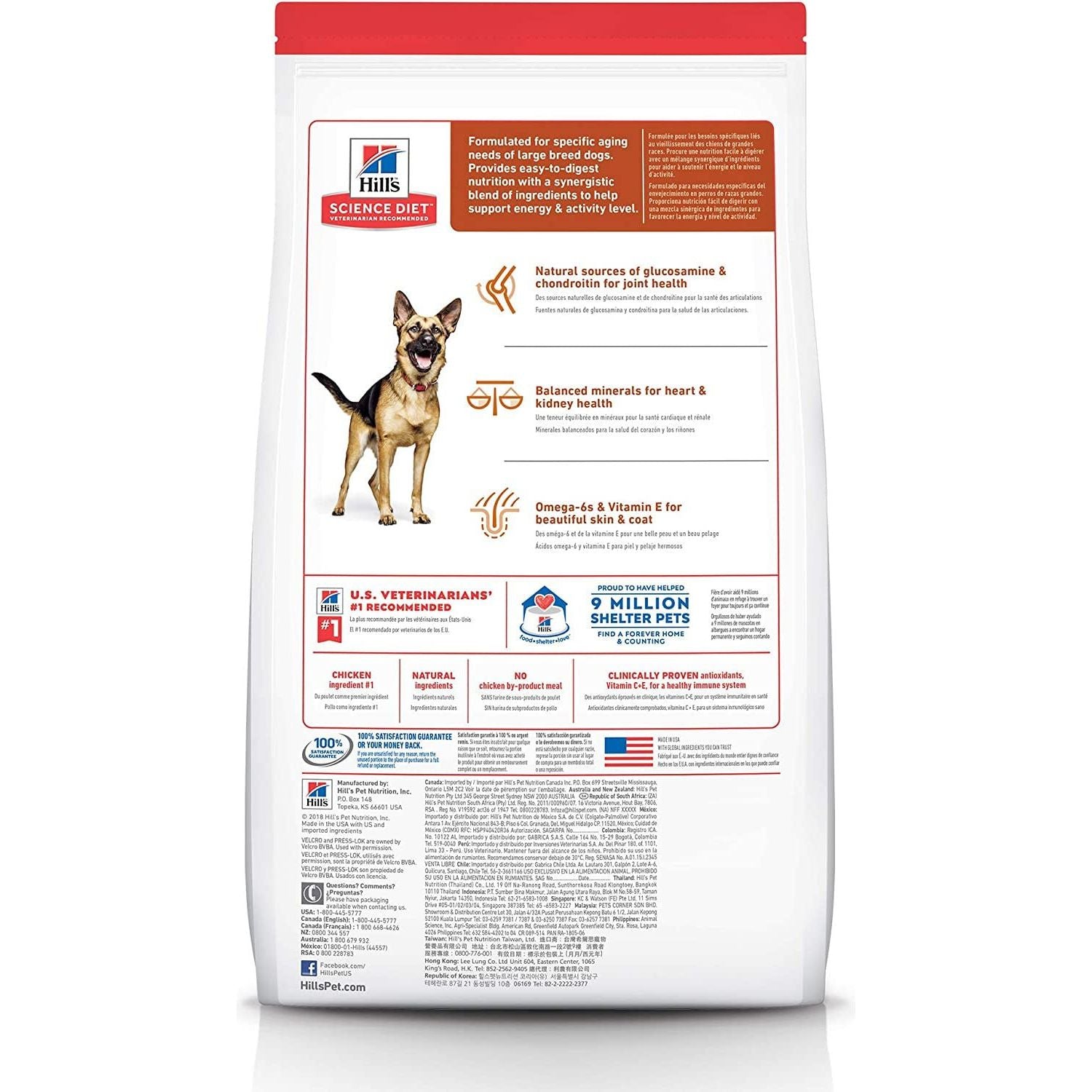 6+ Large Breed Chicken Dry Dog Food 12Kg - Paws and Pats