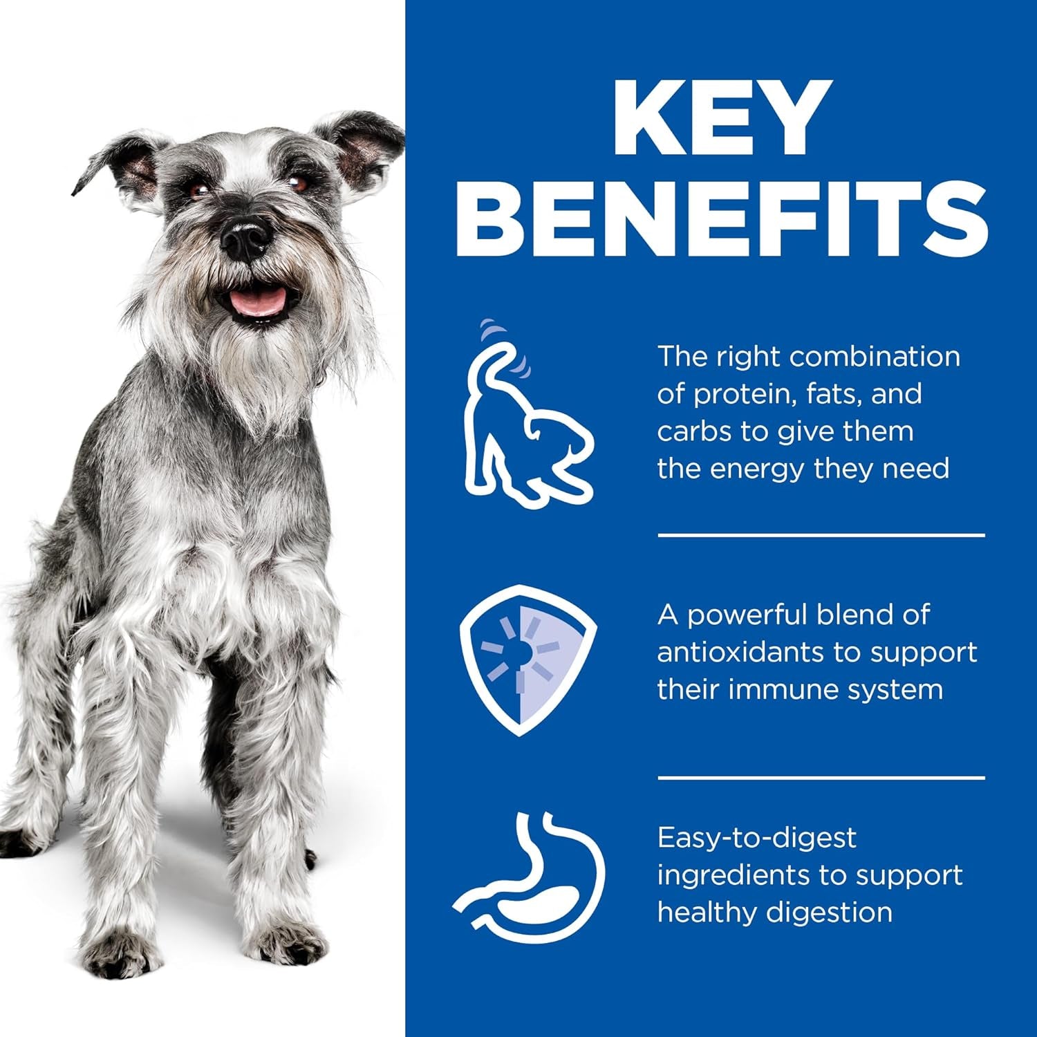 Senior Small & Mini Breed Dog Food Bundle, Adult 11+, 2.04 Kg Dry Kibble & Adult 7+ 12X200G Wet Food Chicken Recipe