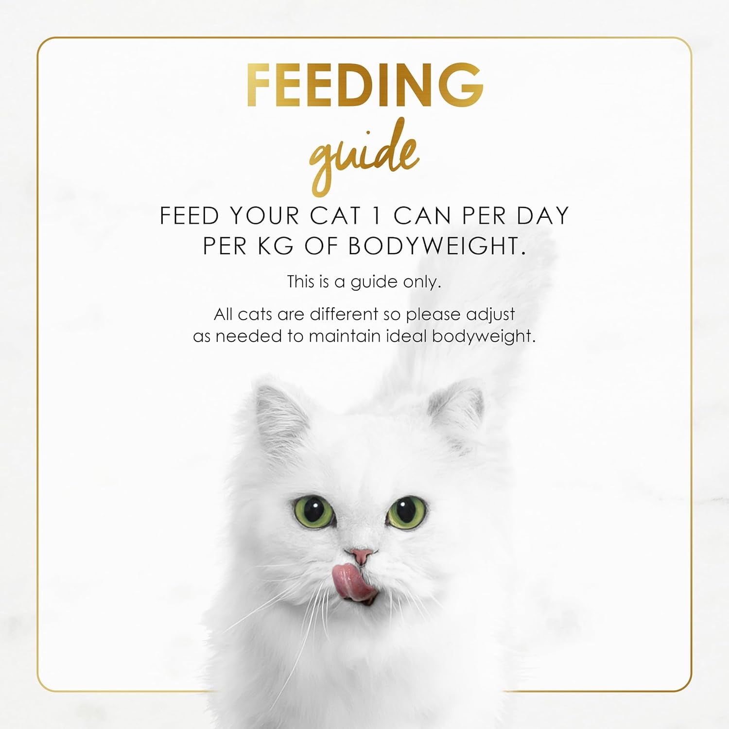 FANCY FEAST Gravy Lovers Adult Wet Cat Food Seared Salmon in Gravy 24X85G