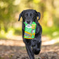 Farmer'S Nibbles - 100% Aussie Chicken, Whitefish, Spinach & Kelp - Natural, Grain-Free, Australian Dog Treats - Snacks, Training or Rewards for Dogs - 100G