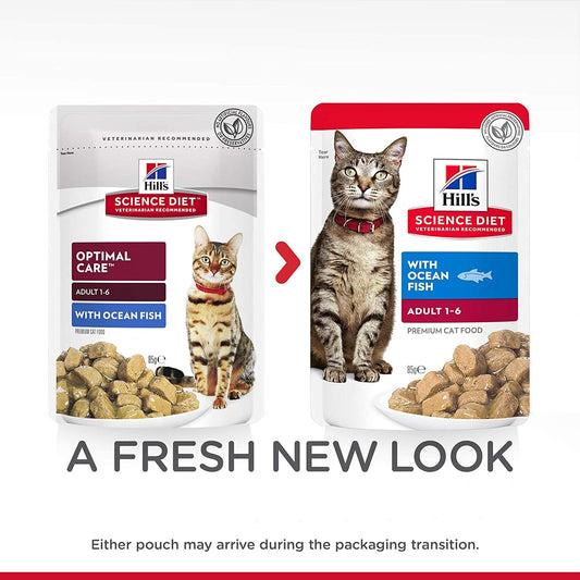 Adult Wet Cat Food, Ocean Fish, 85G, 12 Pack, Cat Food Pouches