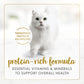 FANCY FEAST Delights with Cheddar Adult Wet Cat Food Grilled Collection 24X85G