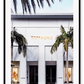 Fashion print store shopping Rodeo drive iconic money gold, green, grey, tropical  