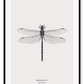 A black and white dragonfly insect sample-like wall art.