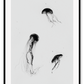 A greystyle wall art with jelly fish drawn in black ink on grey background.