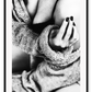 Photo black and white print of woman lady sexy in lingerie bedroom portrait and cardigan 