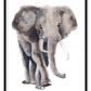 Kids print with watercolour elephant on a white background 