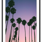 Photography coastal print with shadows of palm trees on a purple, pink and orange sunset background.