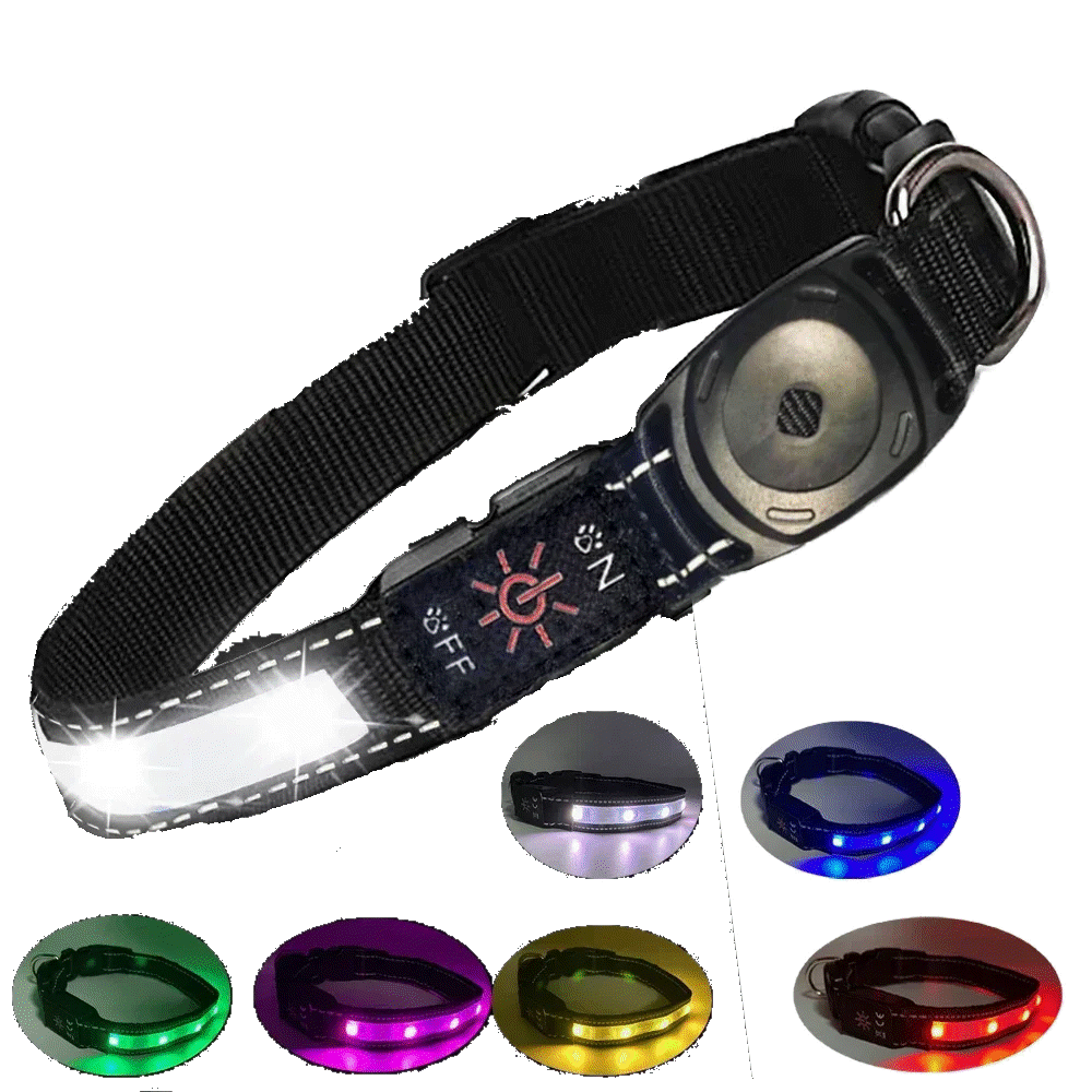 Waterproof LED Dog Collar - Multi-Colour