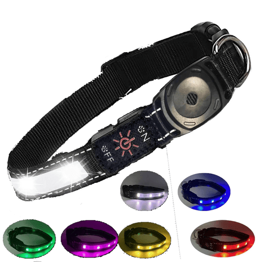 Waterproof LED Dog Collar - Multi-Colour
