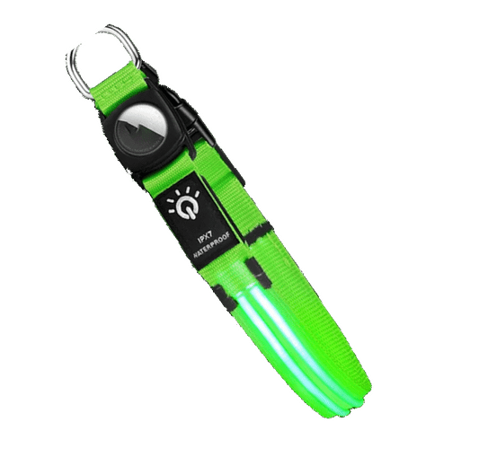 Waterproof LED Dog Collar - Green