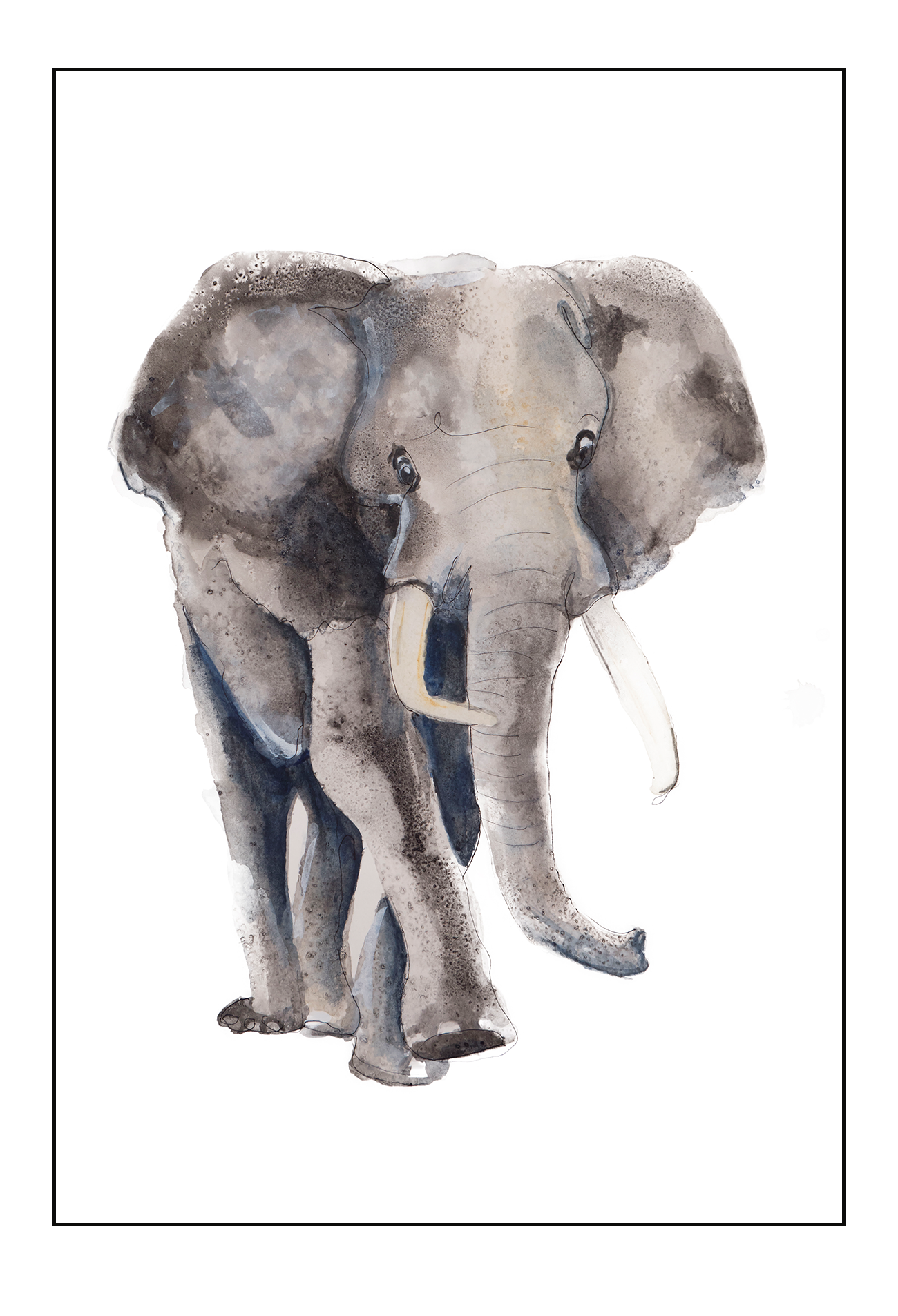 Kids print with watercolour elephant on a white background 