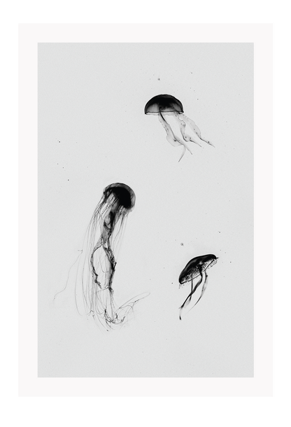A greystyle wall art with jelly fish drawn in black ink on grey background.