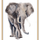 Kids print with watercolour elephant on a white background 