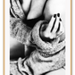 Photo black and white print of woman lady sexy in lingerie bedroom portrait and cardigan 