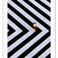 An urban wall art with an aerial view of a lady walking on black and white street crossing stripes