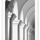 A classic architecture wall art with grand European arches in black and white.