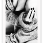 Photo black and white print of woman lady sexy in lingerie bedroom portrait and cardigan 