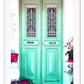 Boho green door vintage distressed framed print art  