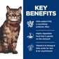 Adult Sensitive Skin and Stomach Variety Pack Cat Food Pouches 12 X 80 G