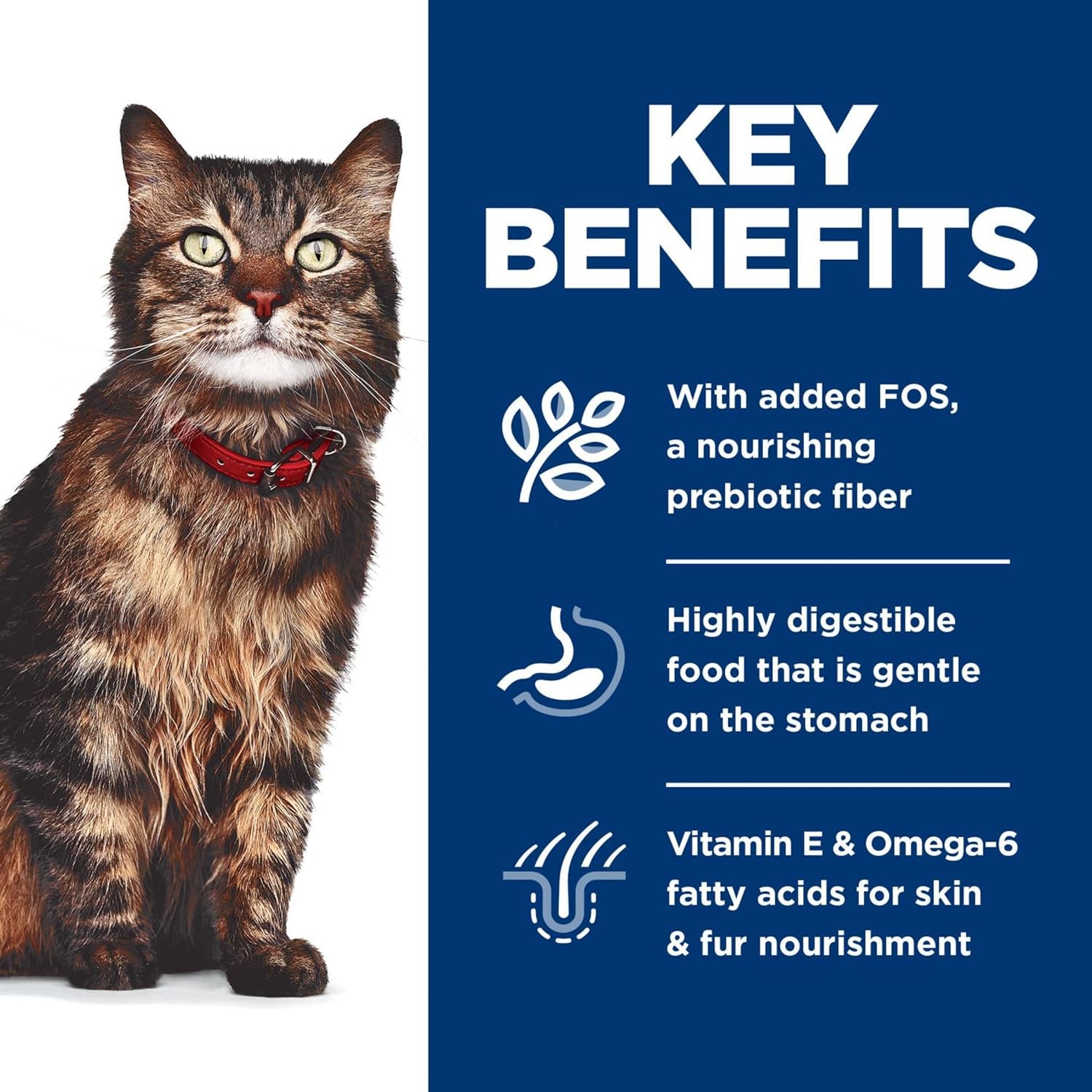 Adult Sensitive Skin and Stomach Variety Pack Cat Food Pouches 12 X 80 G