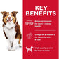 Adult 7+ Chicken Meal, Barley & Brown Rice Recipe Senior Dry Dog Food 12Kg Bag - Paws and Pats