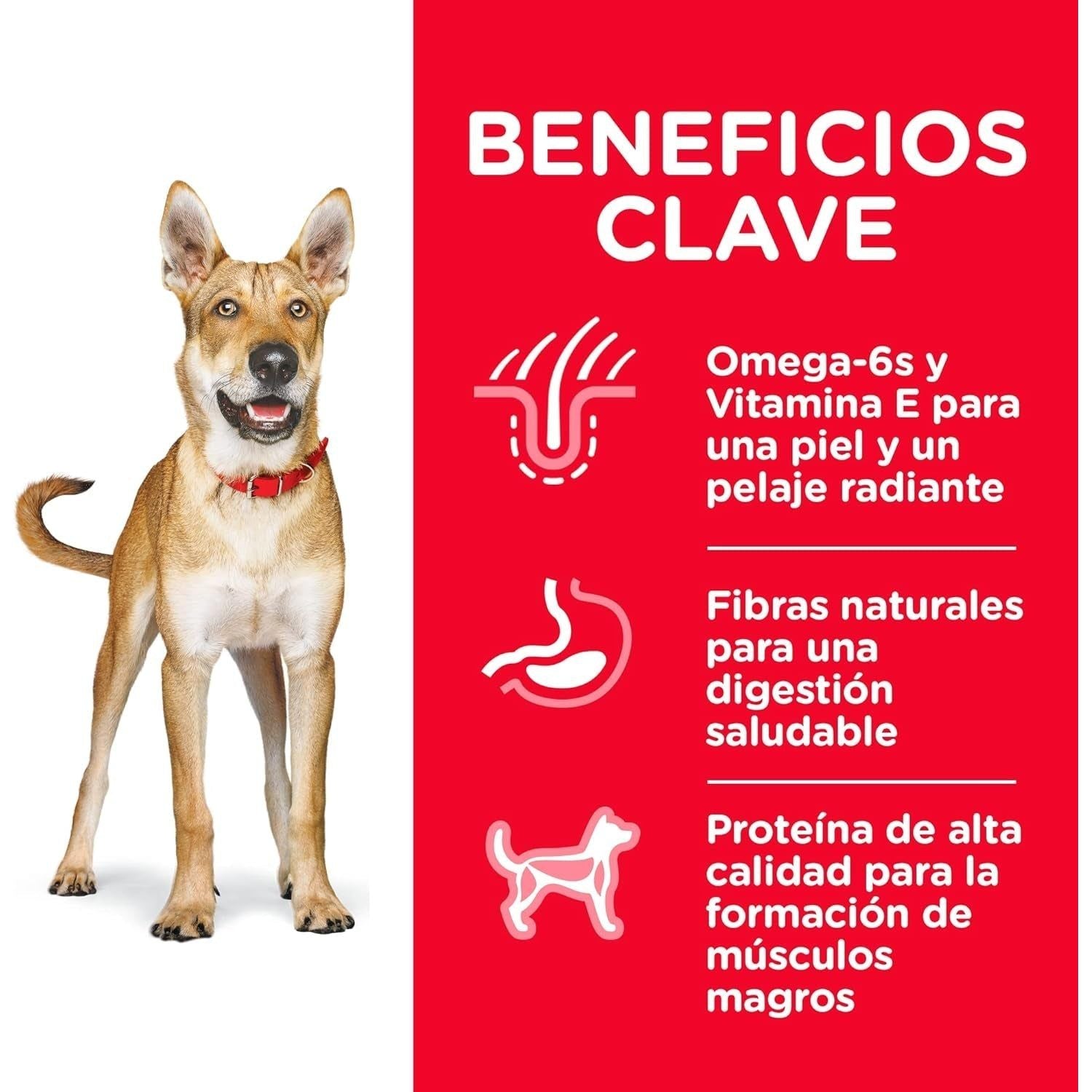 Adult, Chicken & Barley Recipe, Dry Dog Food, 7.5Kg Bag - Paws and Pats