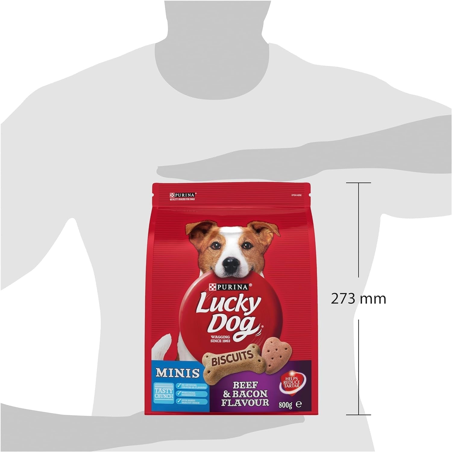 Adult Dog Dog Treats Mini Beef and Bacon 800G - Paws and Pats