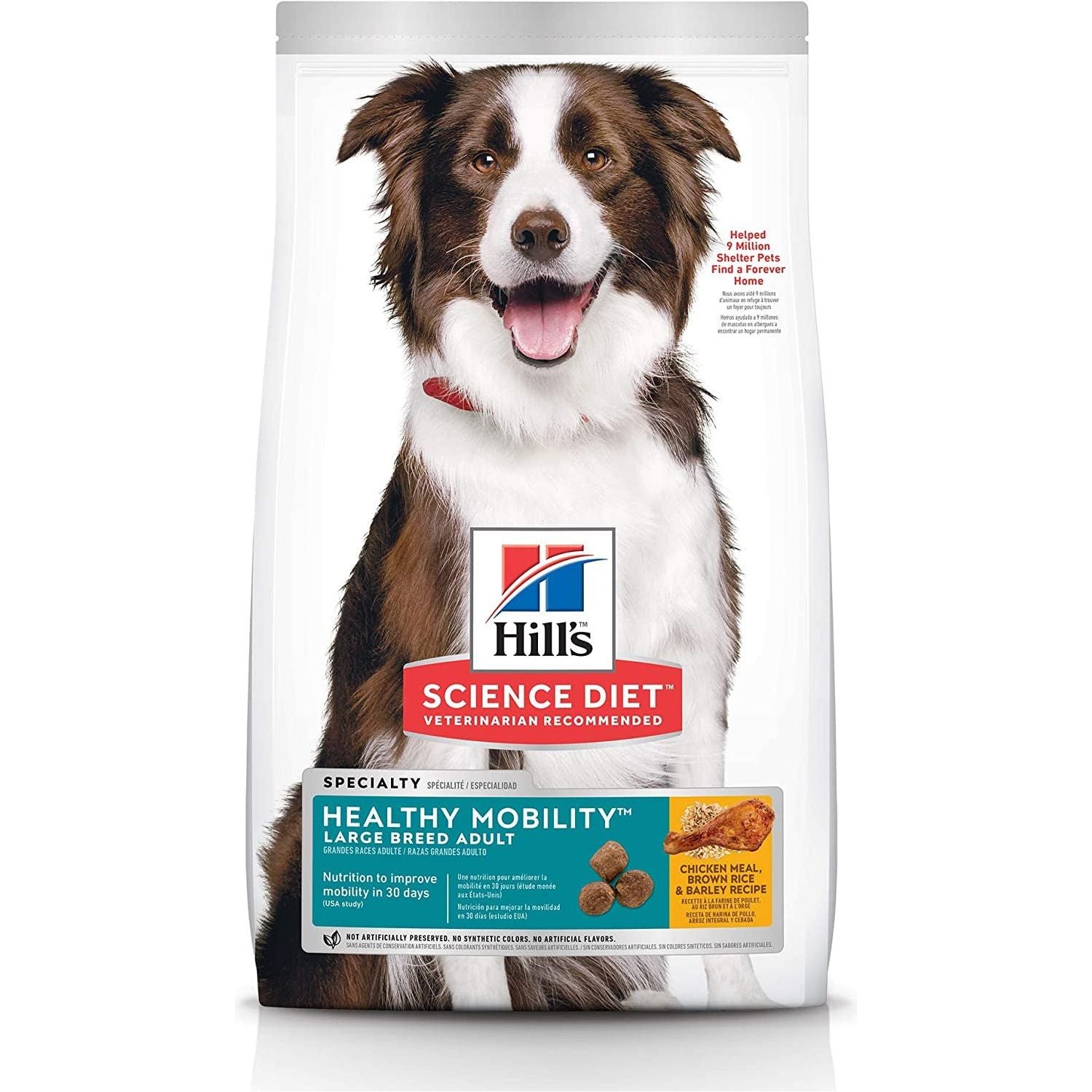 Adult Healthy Mobility Large Breed Dry Dog Food 12Kg - Paws and Pats