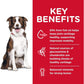 Adult Healthy Mobility Large Breed Dry Dog Food 12Kg - Paws and Pats
