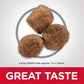 Adult Healthy Mobility Large Breed Dry Dog Food 12Kg - Paws and Pats