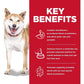 Adult Perfect Digestion Small Bites Dry Dog Food 1.58Kg - Paws and Pats