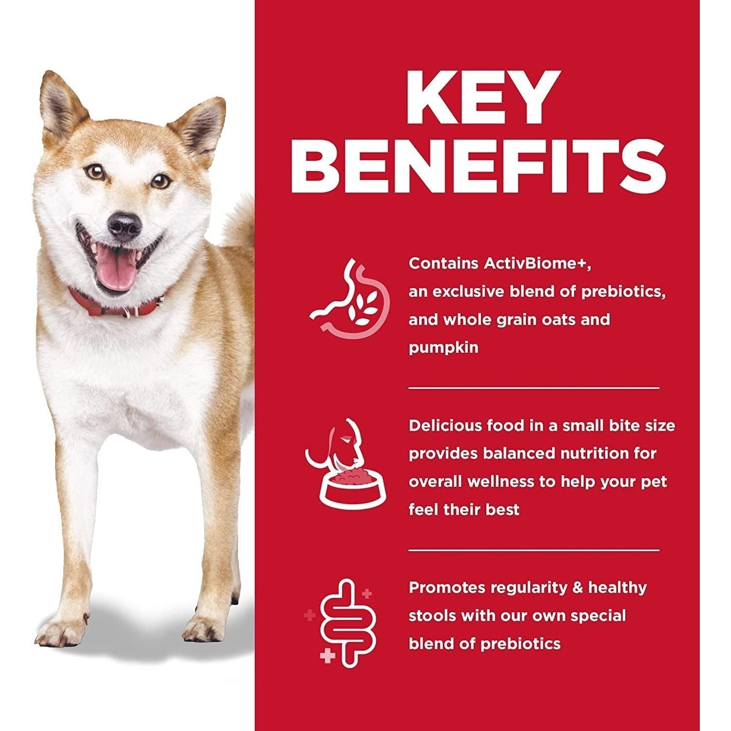 Adult Perfect Digestion Small Bites Dry Dog Food 1.58Kg - Paws and Pats