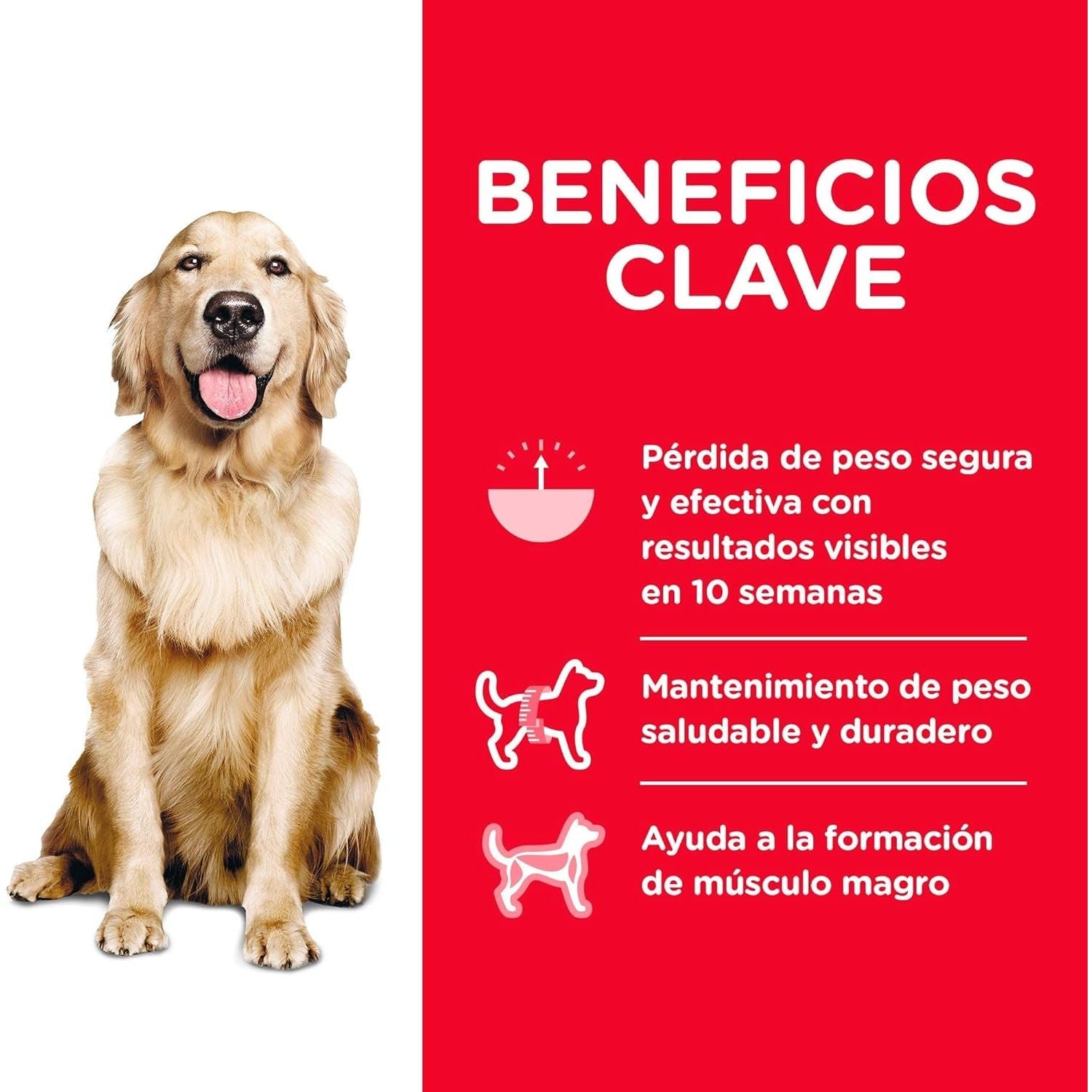 Adult Perfect Weight Chicken Recipe Dry Dog Food 11.34 Kg - Paws and Pats