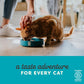 100% Natural Wet Cat Food Chicken Breast in Broth, Limited Ingredients Pet Food 70G Tin (Pack of 24)