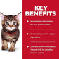Hill’S Science Diet Kitten Favourite Selection Variety Pack Cat Food Pouches 12X85G