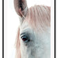 Horse print photography animal white background and neutral boho style 