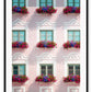 An italian architecture wall art with a pink classic European building facade and floral boutique on balconies. 