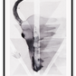 Scandi geometric faded watercolour print with skull and ocean in muted grey colours