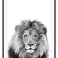 A black and white natural wall art of a lion sketch.