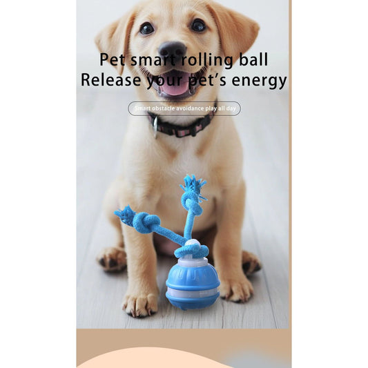 Blue 2-pcs Interactive Dog Toy - Self-Moving Ball with Rope, Boredom Buster