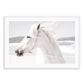 Boho Horse
